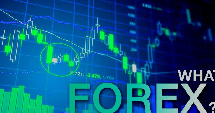 Forex su cosa investire