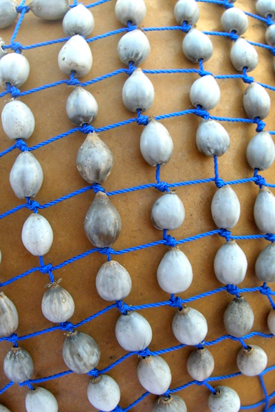 INSTRUMUNDO Instrumentos Musicales: Axatse, Shekere