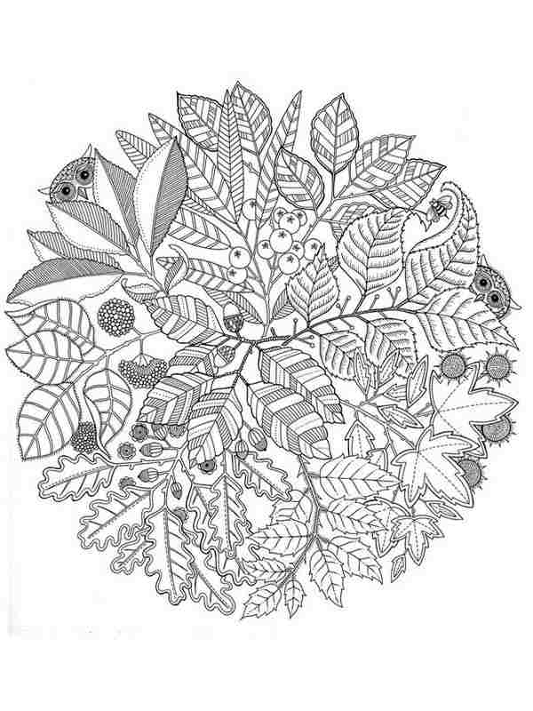 Modern Colour For Adults Gift Coloring Ideas - jeffersonclan