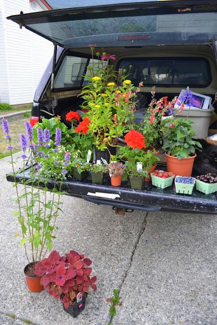 A special garden for Beethoven - Funky Junk InteriorsFunky Junk Interiors