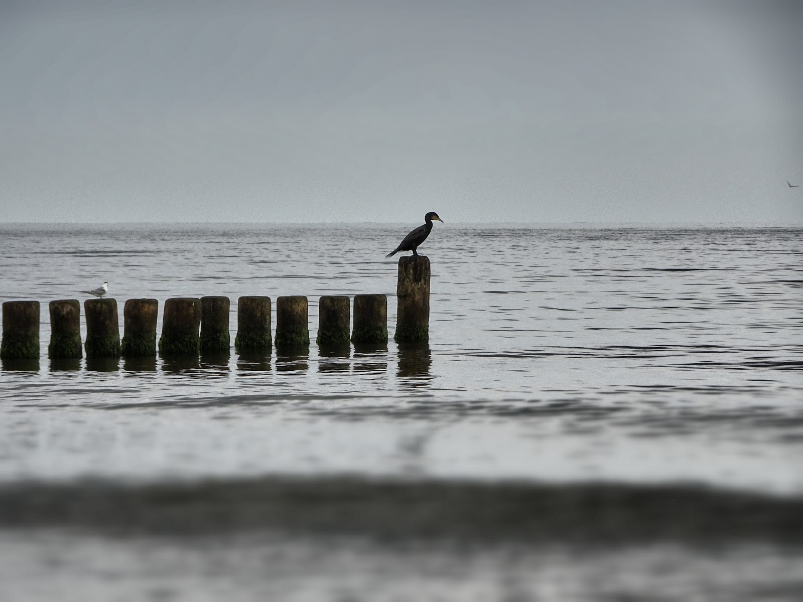 Usedom Abseits Der Touristenpfade Geheimtipps Chamy Travels