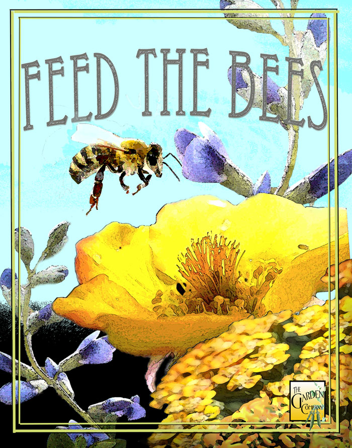 Feeding Our Life Bringing Pollinators