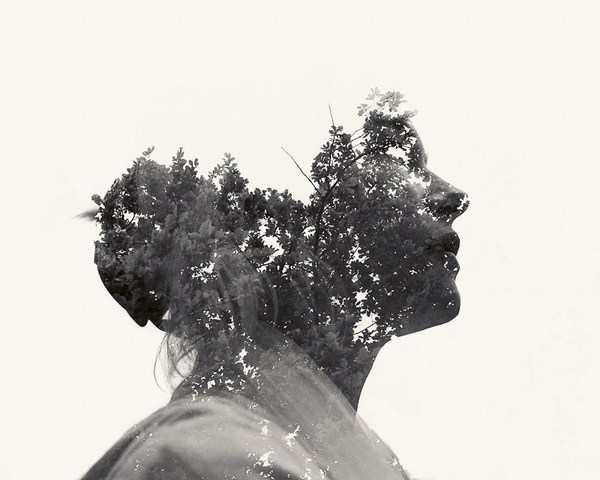 Christopher Relander. Multi-Exponering