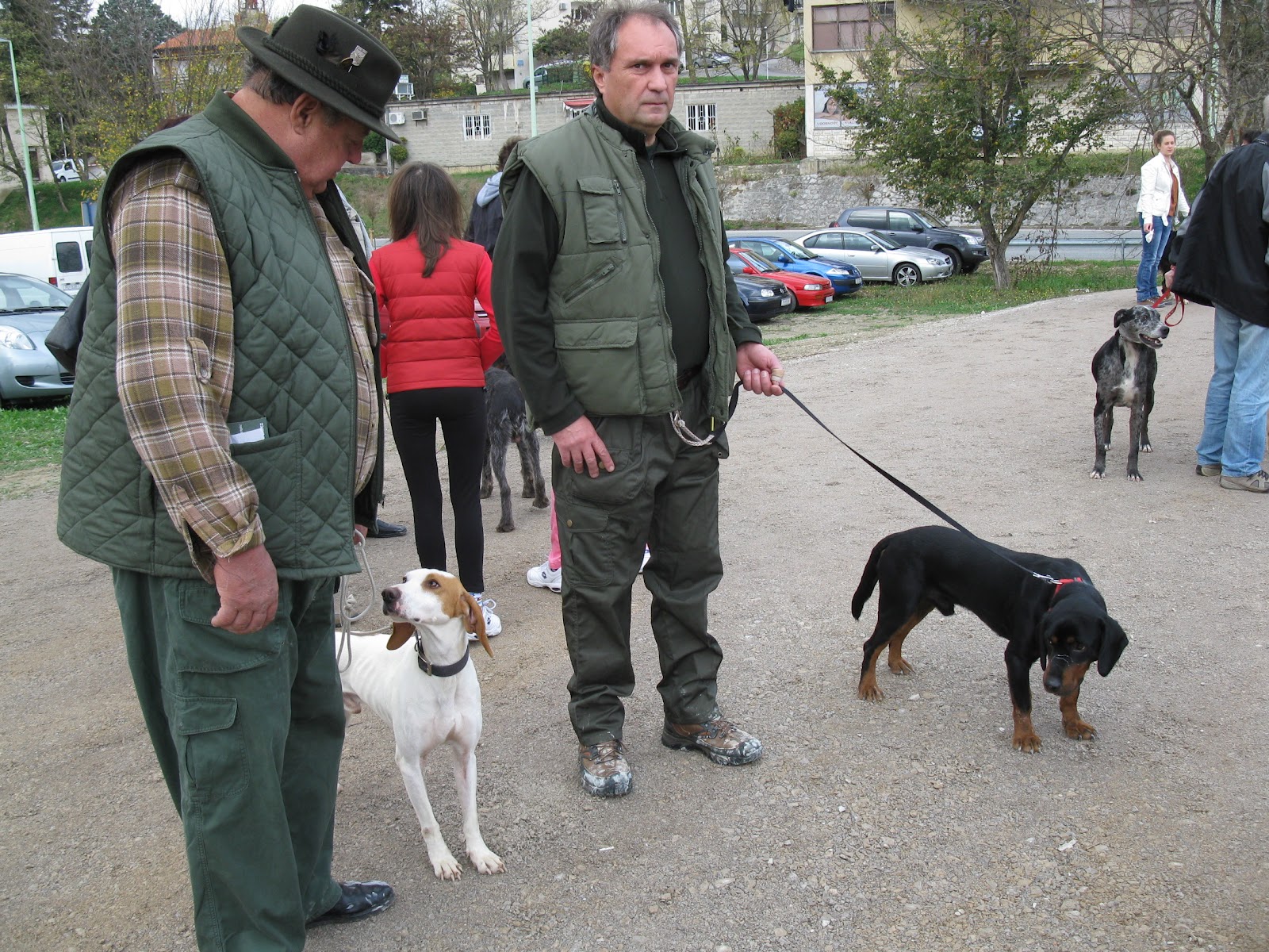 The Clumsy Traveler Croatia The Buzet Truffle Festival