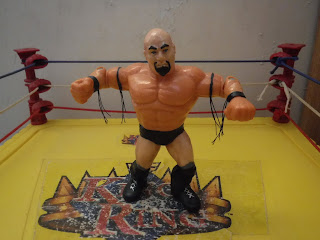 WWF Hasbro CUSTOM Damien Demento action figure