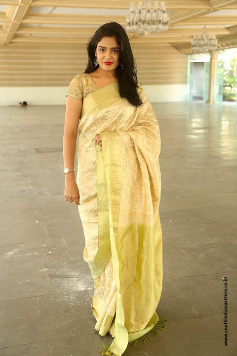 Harshita at Silk India Expo 2017 Launch