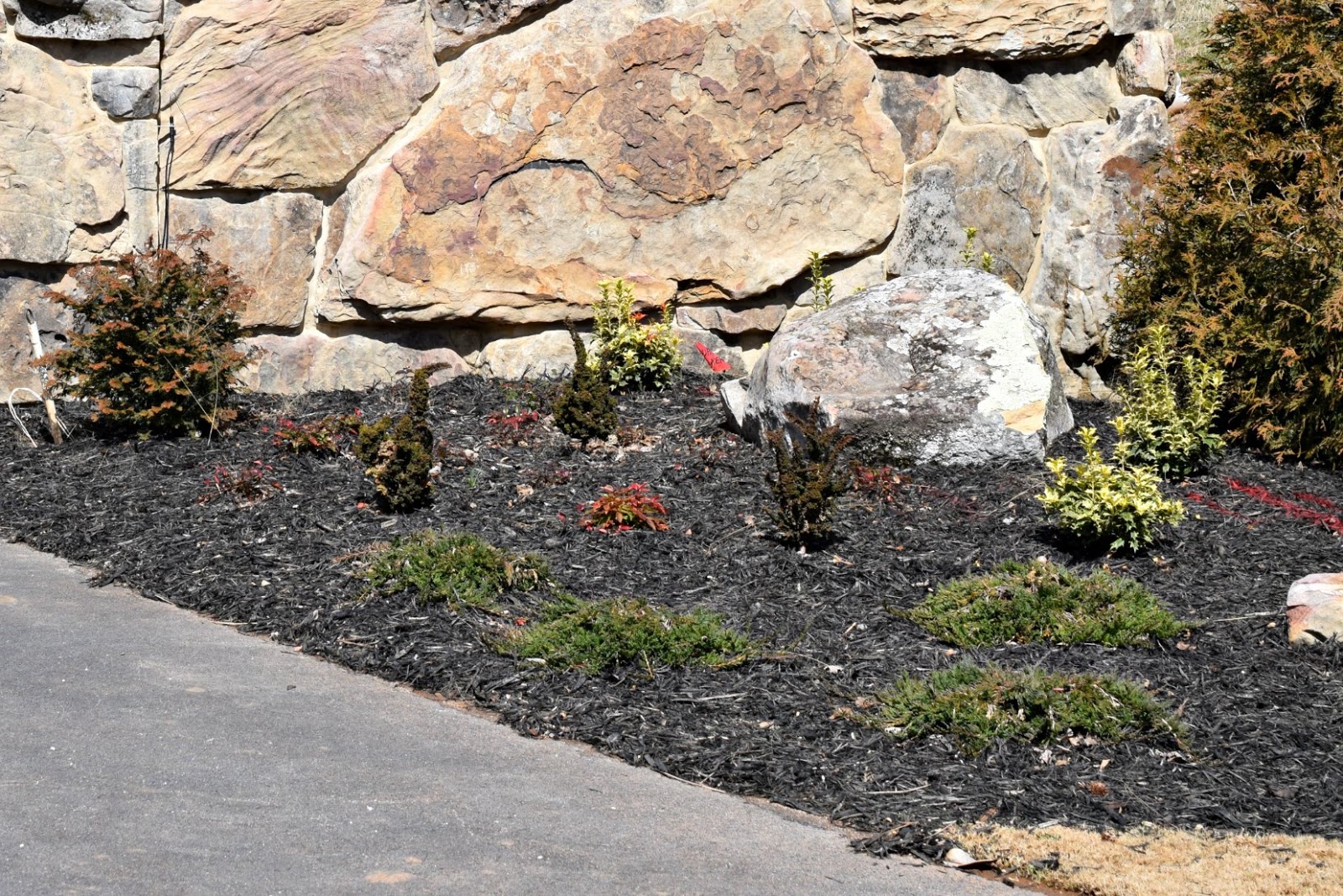 Using Native Plants Red Mulch Rant