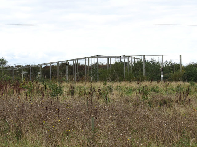 Church Field Heligoland trap - Spurn