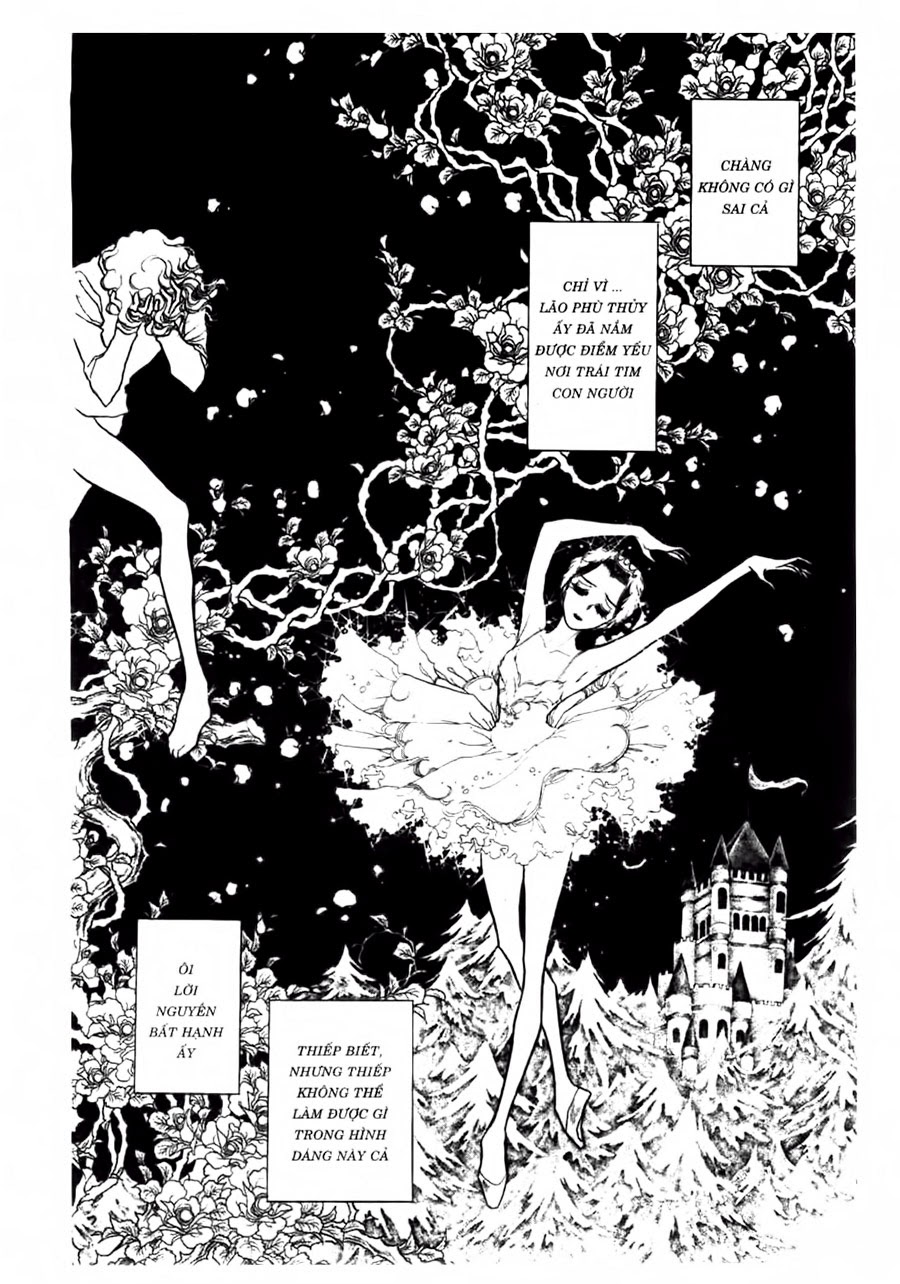 Swan - Vũ Khúc Thiên Nga Chap 47 - Next Chap 48
