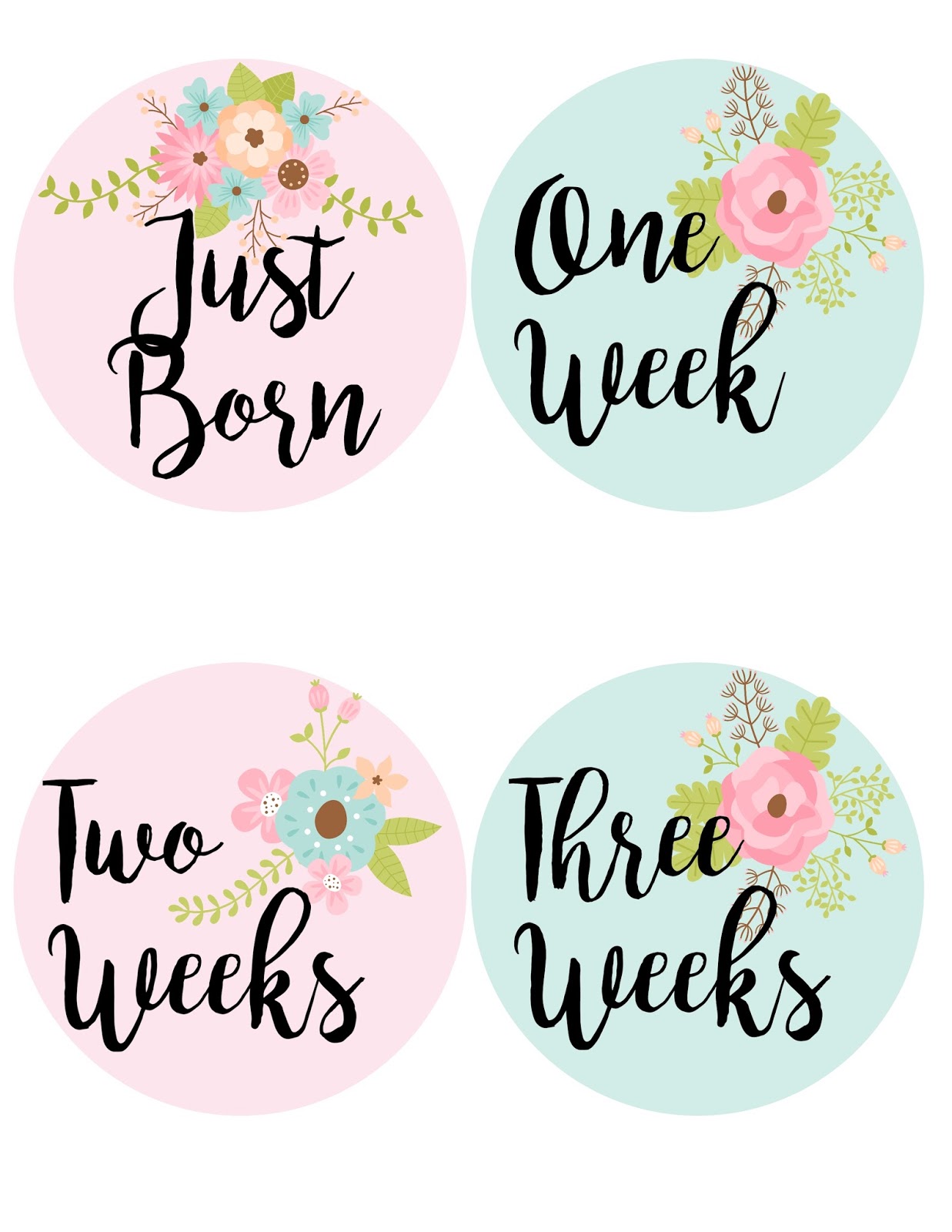 PRINTABLE Baby Girl Month Stickers, Milestone Month Stickers, Month Stickers  Girl, Floral DIY Printable 