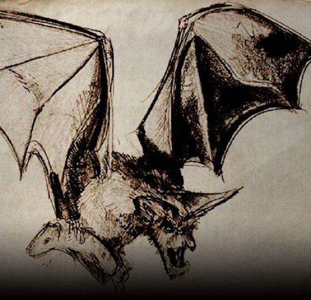 Ahool, o Morcego Gigante de Java um mito assombroso - Mistérios e ...