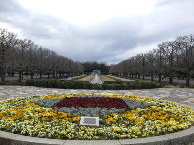 娘惹的雪泥鸿爪 17 春游 立川国营绍和纪念公园showa Kinen Park 2 运河 银杏林 喷泉 水鸟池 花木园