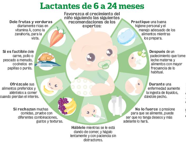 comidas que aumentan la leche materna