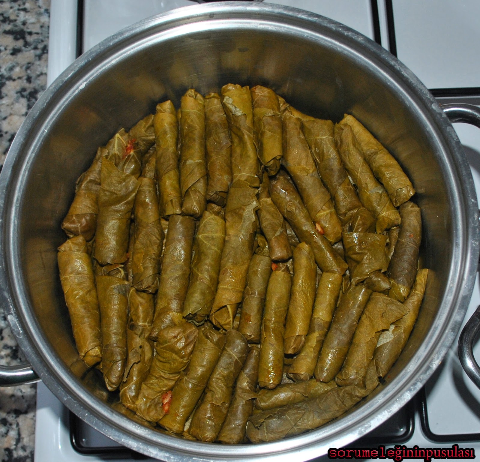 Soru Meleğinin Pusulası: {YEMEK} EKŞİLİ YAPRAK SARMA VE DOLMA
