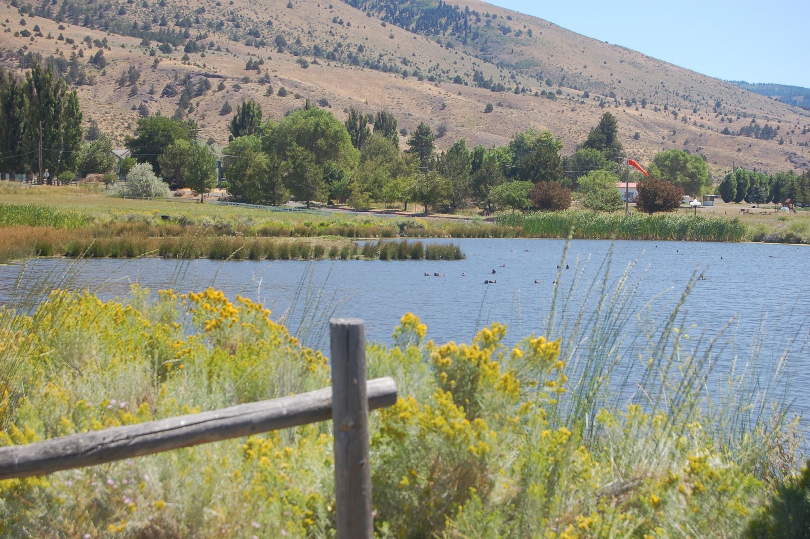 Outside The Interzone Geo 730 March 25, Day 449 Goose Lake