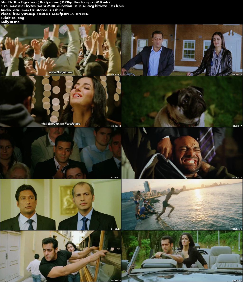 Ek Tha Tiger 2012 BRRip 400MB Full Hindi Movie Download 480p ESub