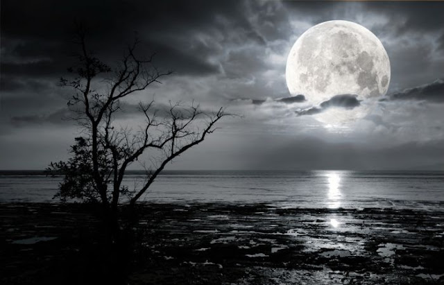 Rahasia Dibalik Bulan Rajab dan Alasannya Disebut Bulan Haram