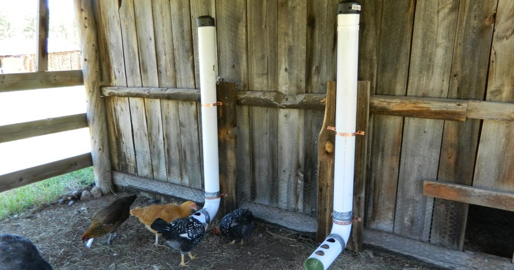 Diy Bird Proof Chicken Feeder small chicken coop kit