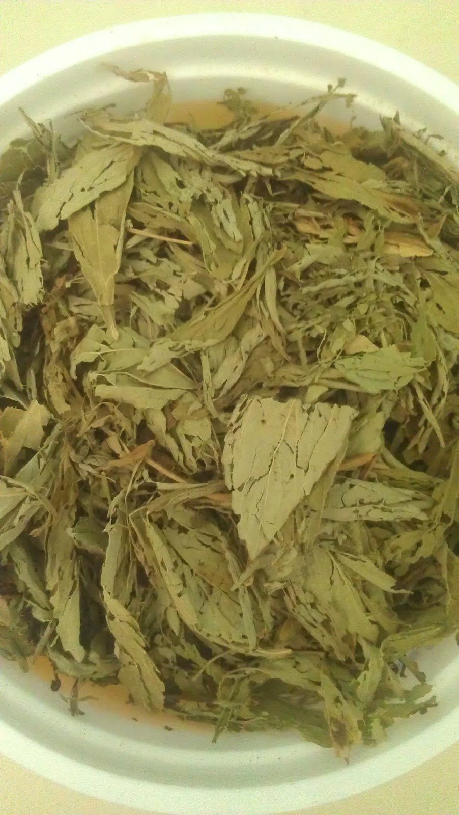 #Salud: ¿Cómo se prepara la #Stevia en Hojas? #Salud: ¿Cómo se prepara la #Stevia en Hojas?