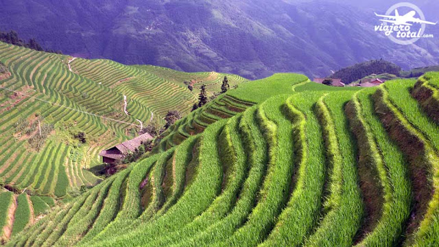 Ping'an Village - Terrazas de arroz de Longji - Longsheng - China