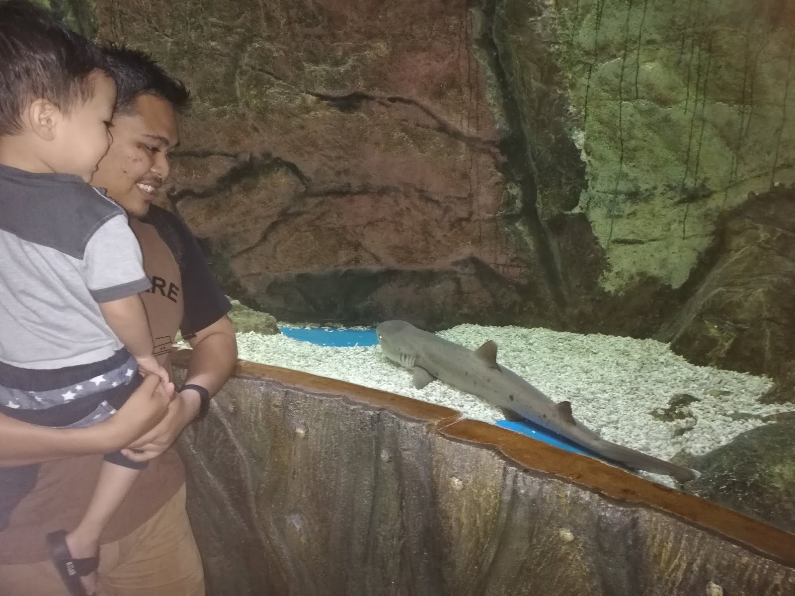 Blue Coral Aquarium KL Tower