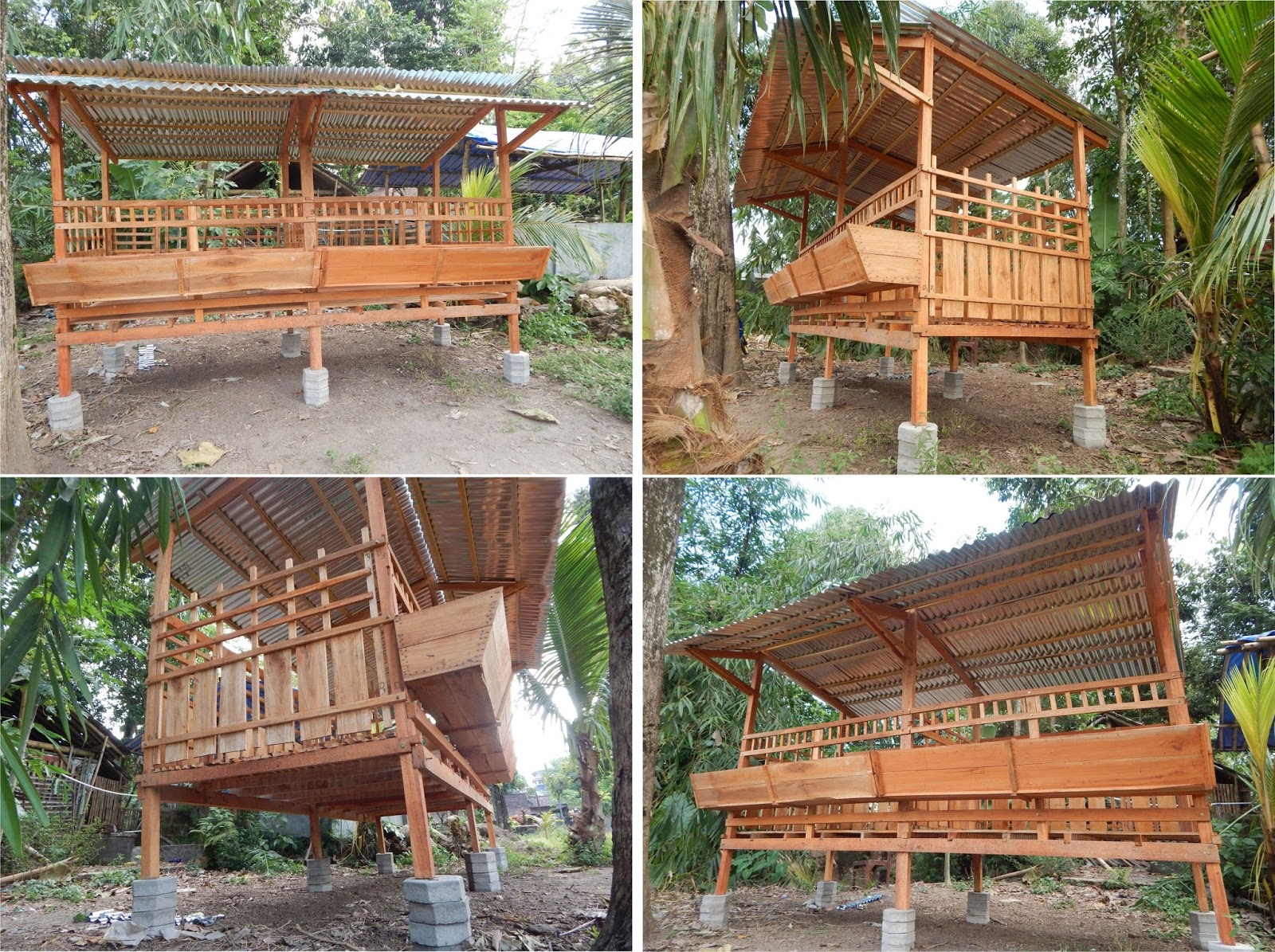 Kandang Kambing dan Domba: Kandang Kambing dan Domba