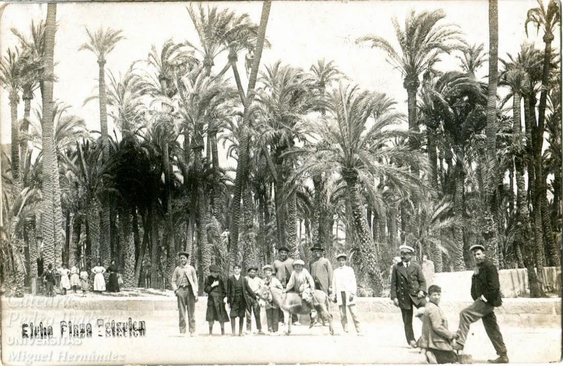 Image of the Palmeral of Elche, one century ago