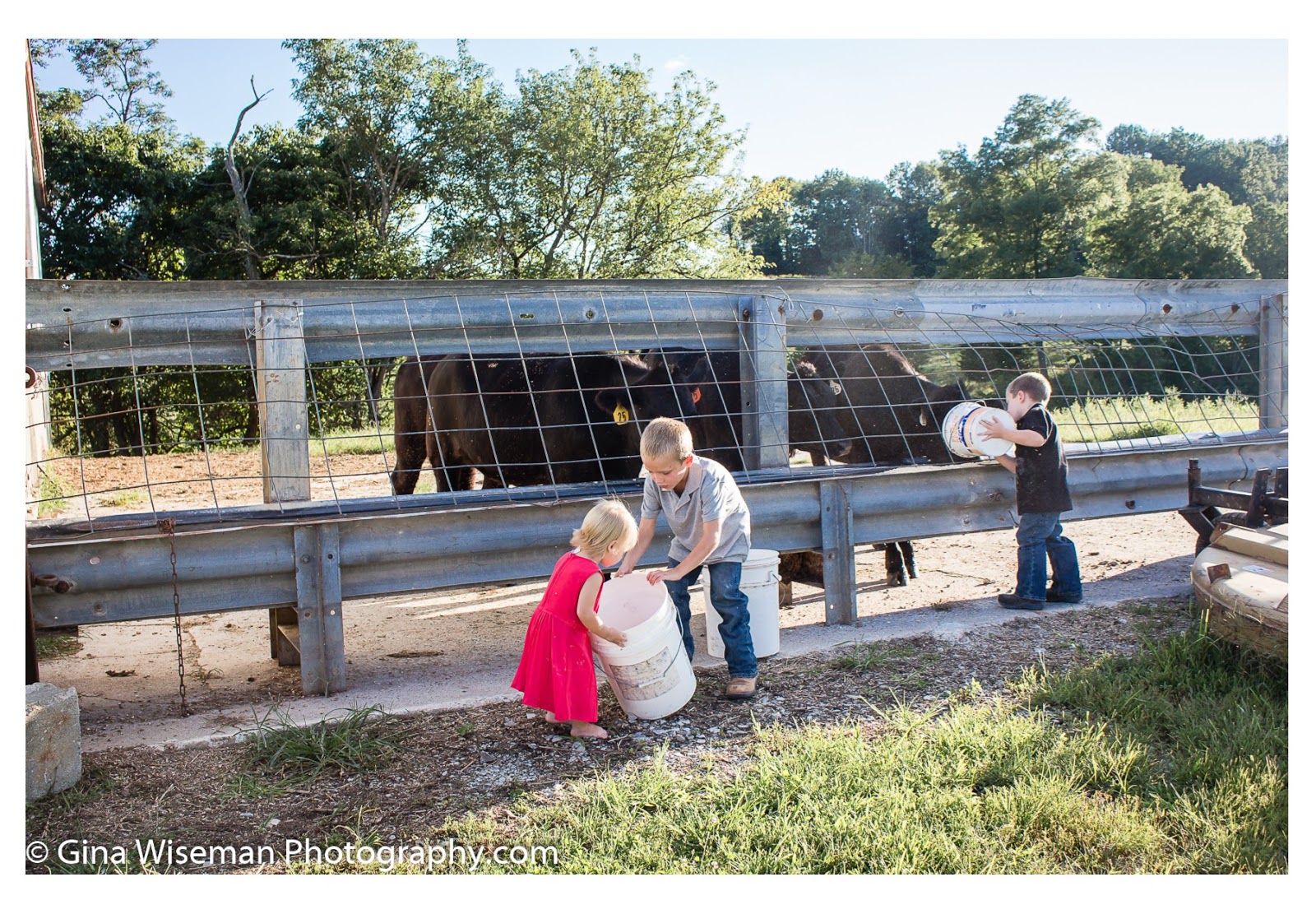 Batesville Indiana Lifestyle Family Photographer Steinkamp Children