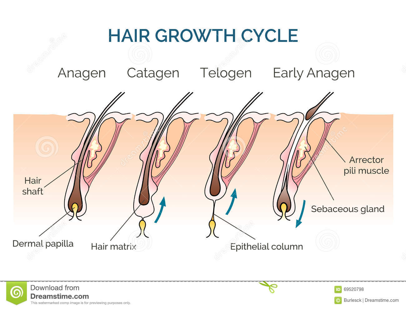 Boost Your Hair Growth With Natural Remedies Biafra Today