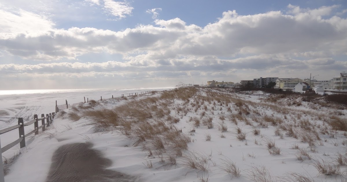 Wildwood Weather Partly Sunny Sunday