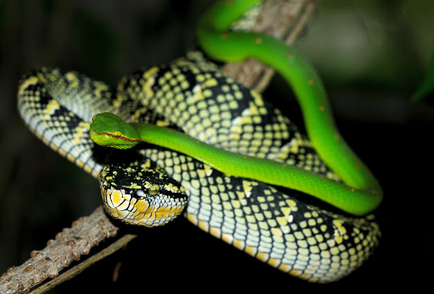 Gollivud porno fohishalari 1 2 3 Gollivud porno yulduzlarini tomosha qiling Seksi toliq metrajli film