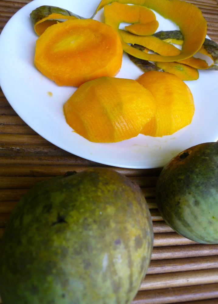 Looking for the wild The Last Mango