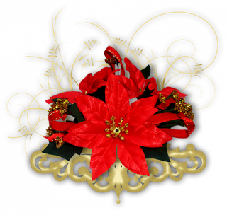 Banco de imágenes gratis: 20 imágenes de nochebuenas, flores de navidad Imágenes, Frases y Reflexiones: Nochebuenas navideñas en png