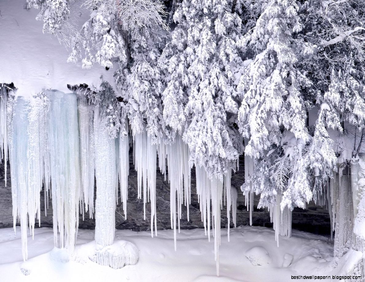 Winter wonderland  Dreamy Snow Scene wallpaper 1280x1024 NO1