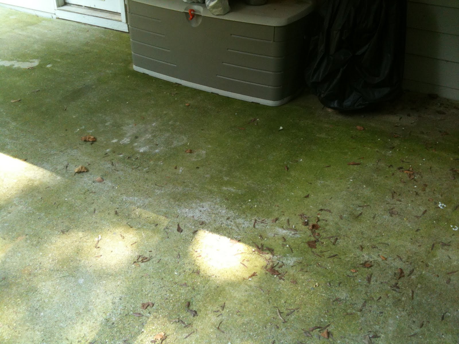 Krud Kutter Removing the GREEN from the concrete patio with Krud Kutter