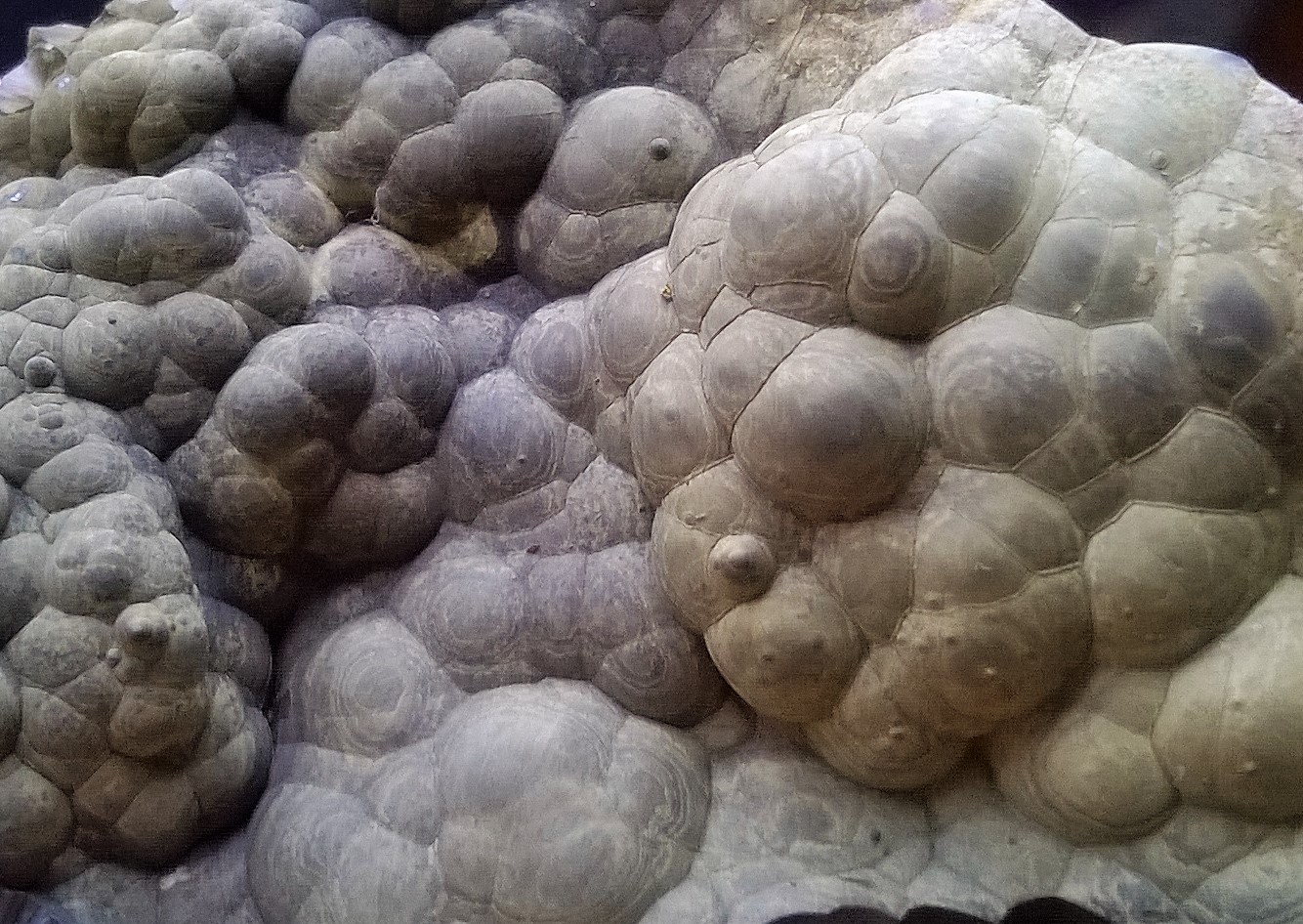 MineralesDB Goethitas de La Arboleda (III)