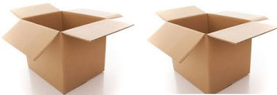 Cardboard Box Method lizard repellent how to get rid and kills lizards Cardboard Box Method lizard repellent how to get rid and kills lizards