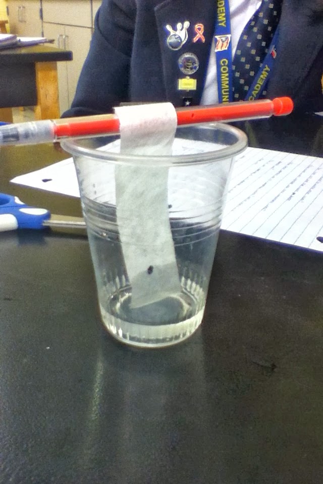 paper chromatography Paper Chromatography Lab