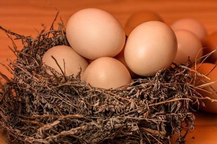 Telur Mentah Bagi Kesehatan 3 Manfaat Makan