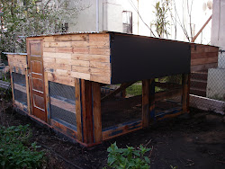 chicken coop pallet coops pallets novella build custom carpenter houses open wood occupancy gardening shack tips garden fine