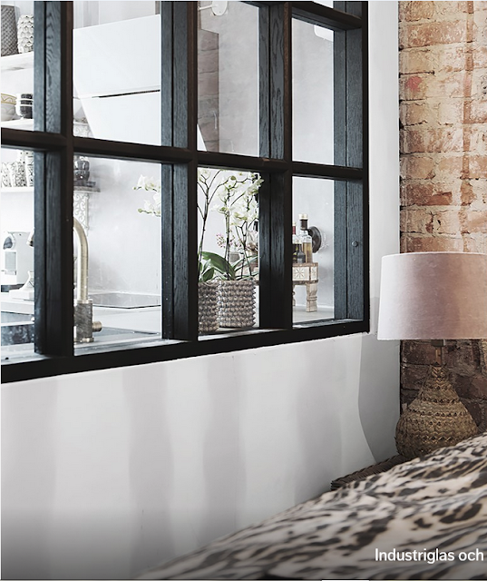 Coreopsis golden ball – a gorgeous flower with rich and prolonged flowering ideal for your pots and garden