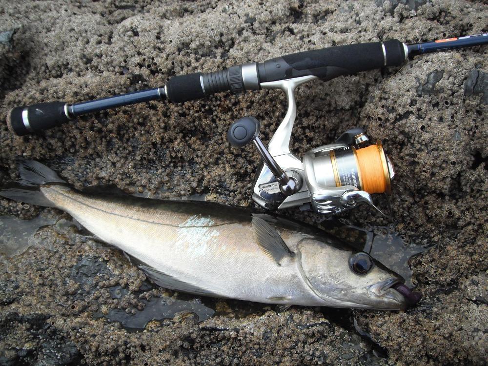 South East Lure Angling More LRF and another first...