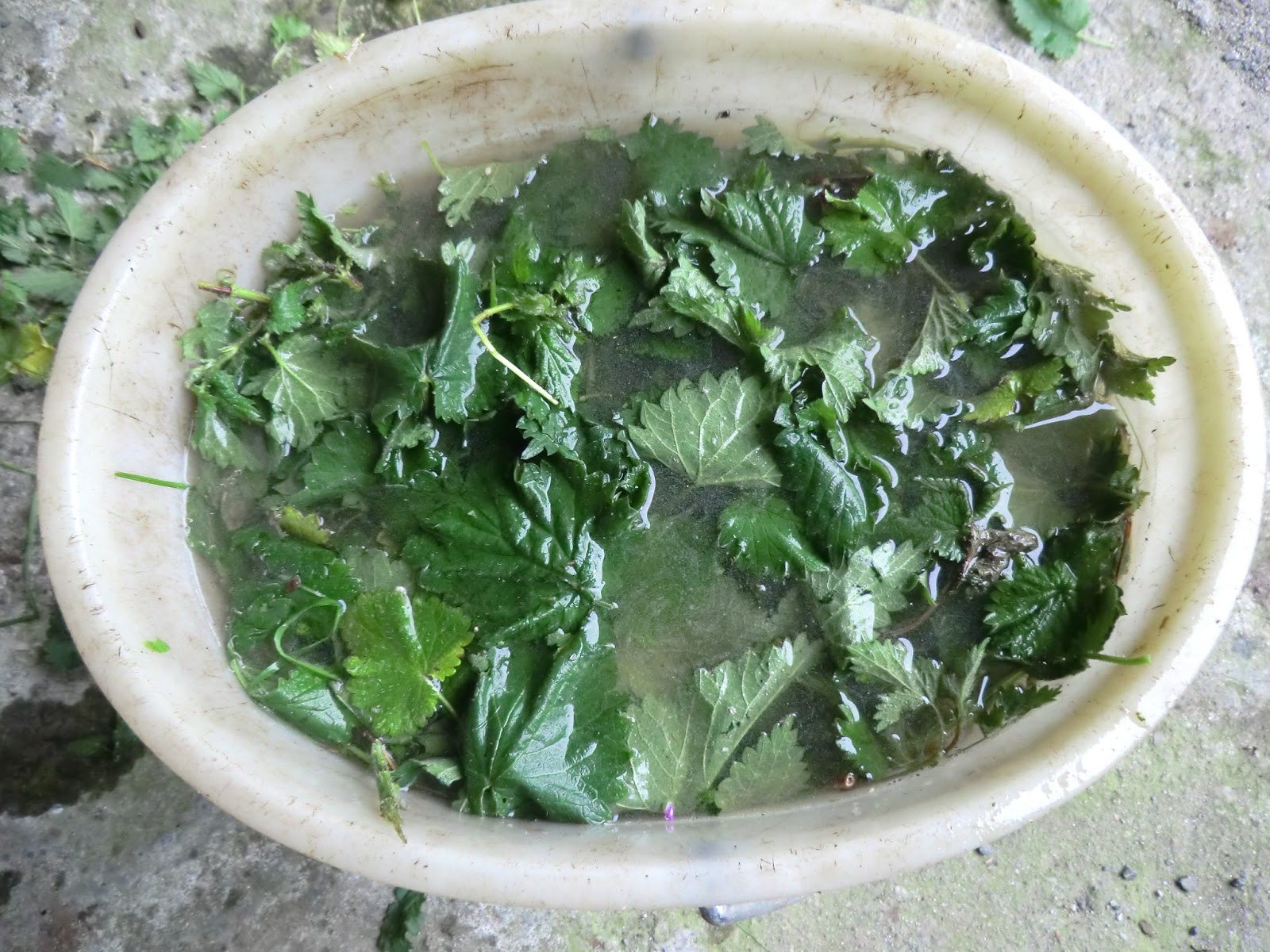 Con vistas al huerto