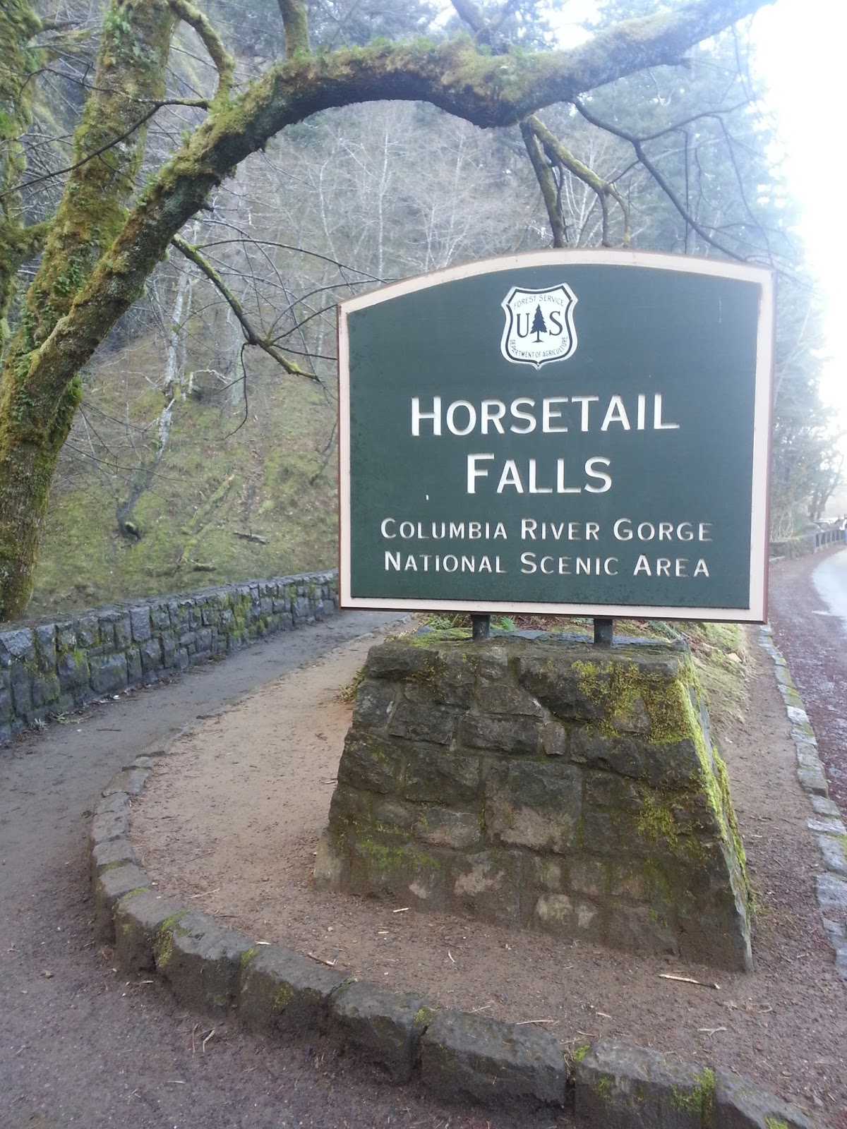 Horsetail Falls The Gorge Oregon