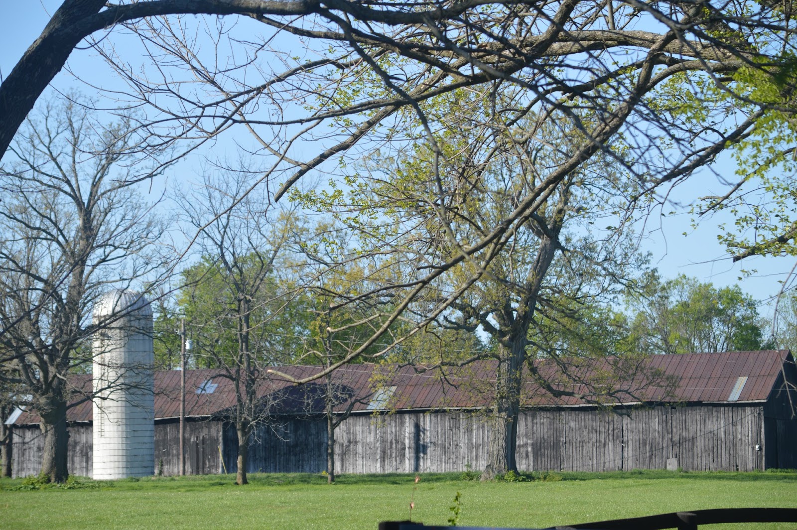 Calypso Farm Eventers Farms of Lexington