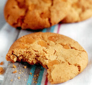 ginger cookies: classic cookies (biscuits) with stem ginger baked into the dough