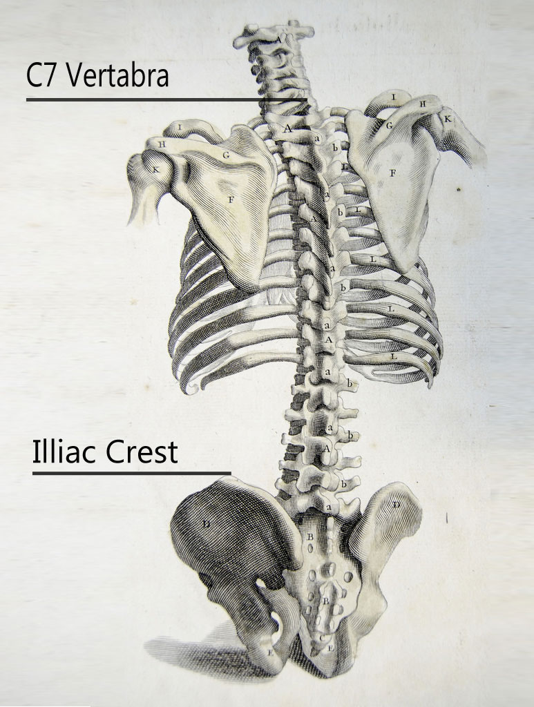 Wayfinder Ali How to Pick the Perfect Day Pack