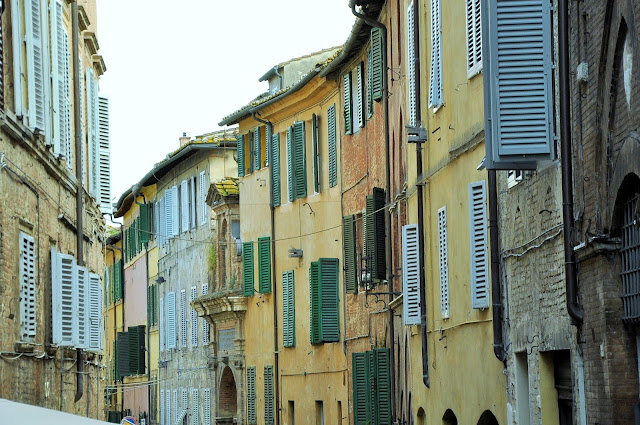 _DSC0147%2B%25282%2529.JPG