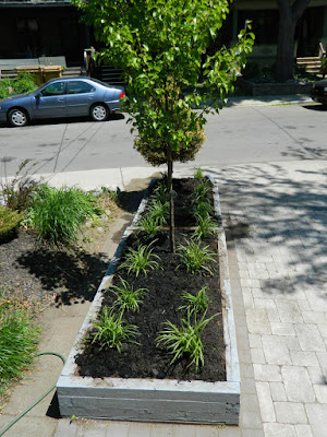 The Pocket garden renovation after by Paul Jung Gardening Services Toronto