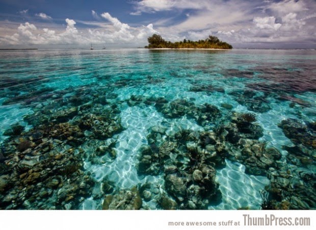 Coral reefs of South Water Caye, Belize picture